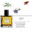 Menjewell TEEKWOOD SPICE| Eau de Parfum - 50 ml  (For Men)