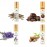 Menjewell Pack of 4 Psc (Chandan-e-Khaas,White Oudh,Lavender,Chocolate)9ml Attar/Perfume Floral Attar  (Woody, Sandalwood, Chocolate, Floral)